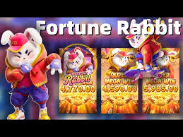 segredo fortune shop